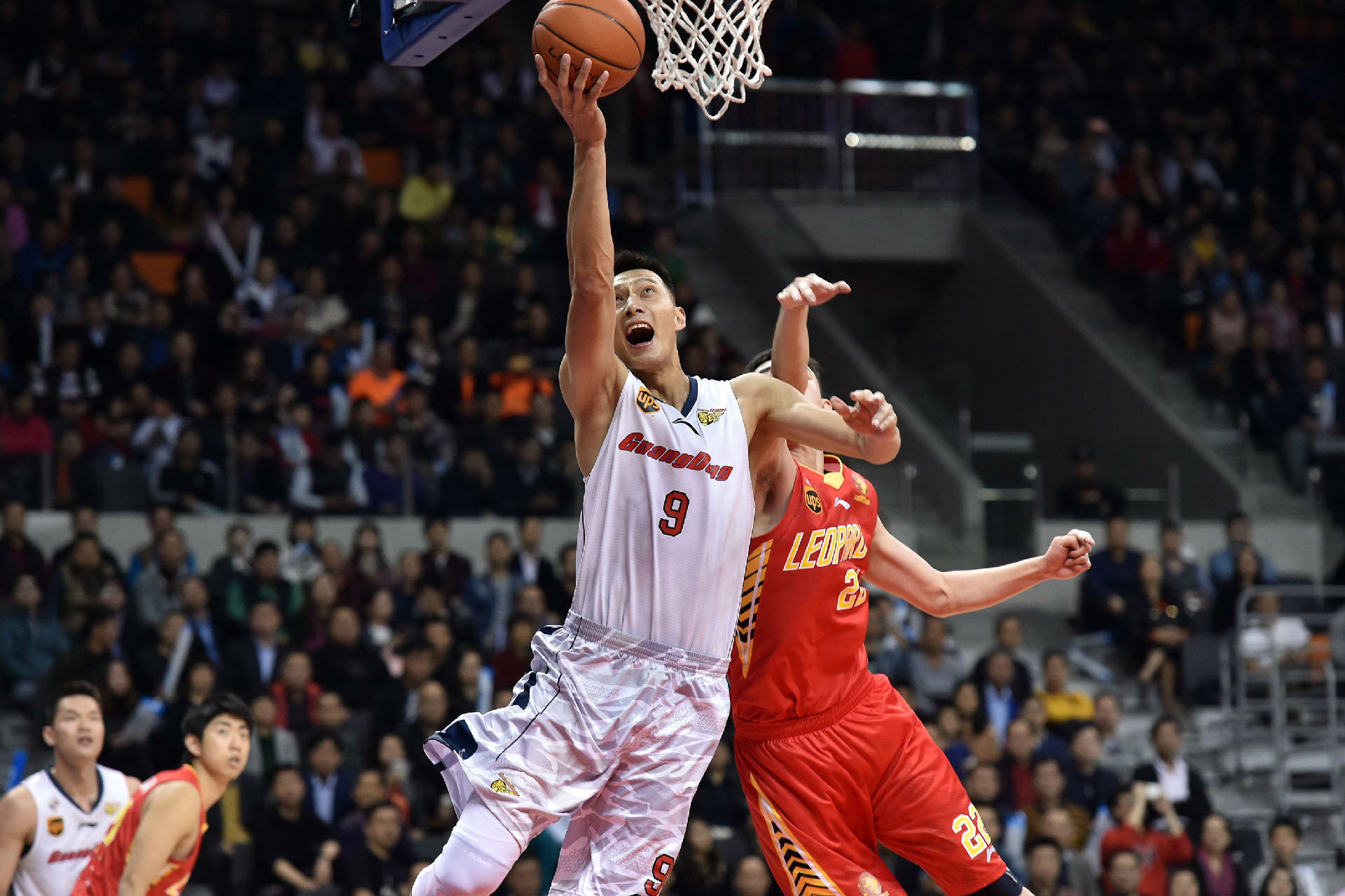 还能为更高 还能为更高